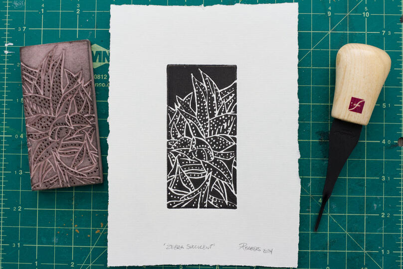 A blockprint of a Zebra Succulent plant.