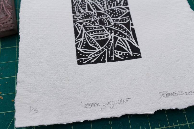 A blockprint of a Zebra Succulent plant on handmade paper.