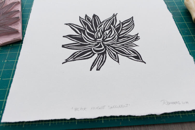 A blockprint of a Black Knight succulent plant.
