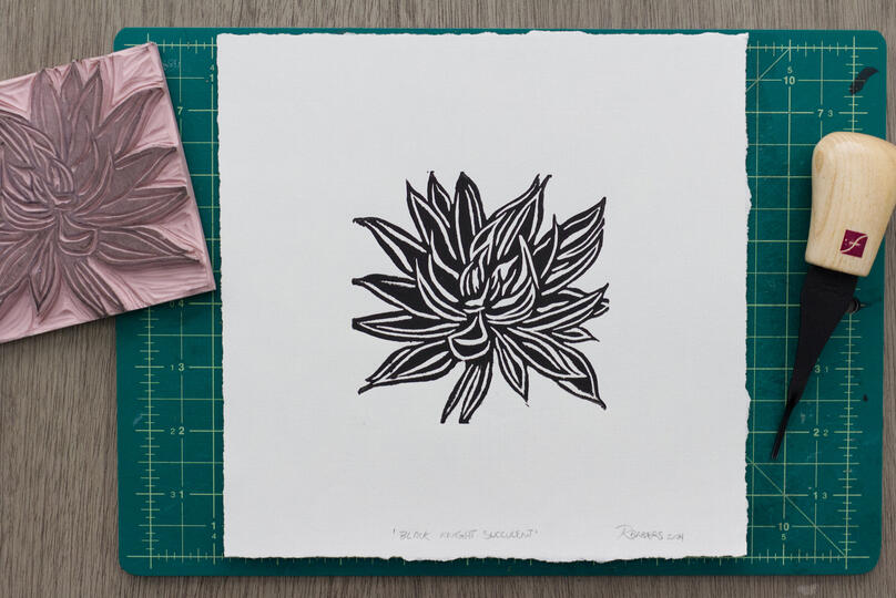 A blockprint of a Black Knight succulent plant.