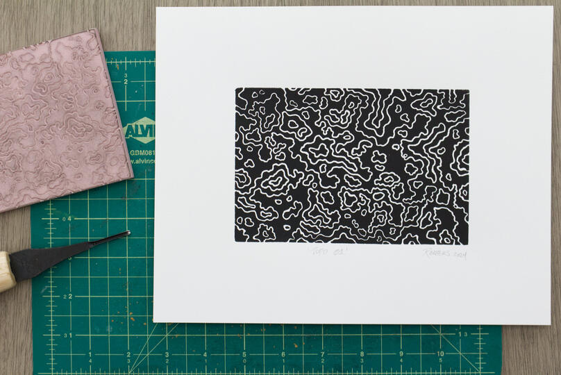 A blockprint of an abstract topography.