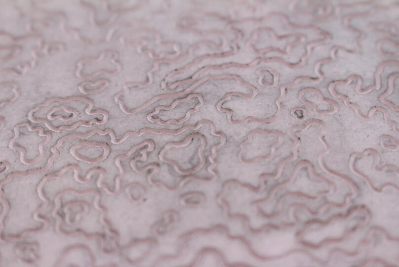A blockprint of an abstract topography.