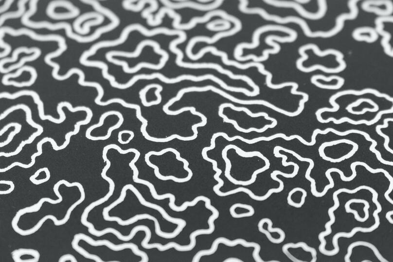 A blockprint of an abstract topography.